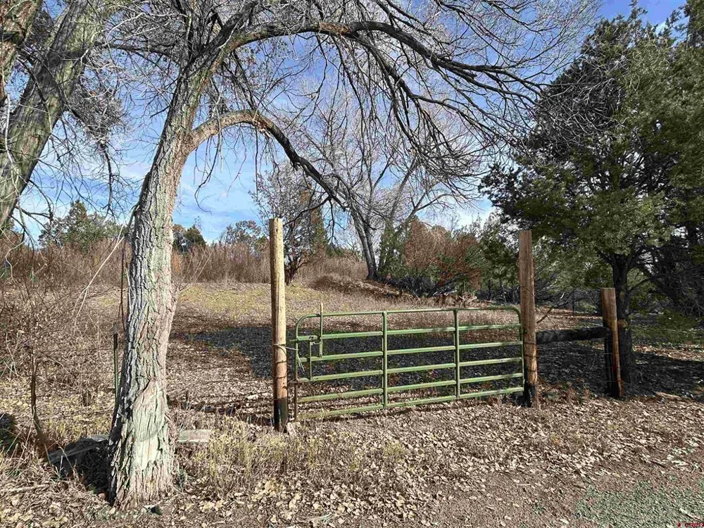 27701 BB ROAD Nucla, CO 81424