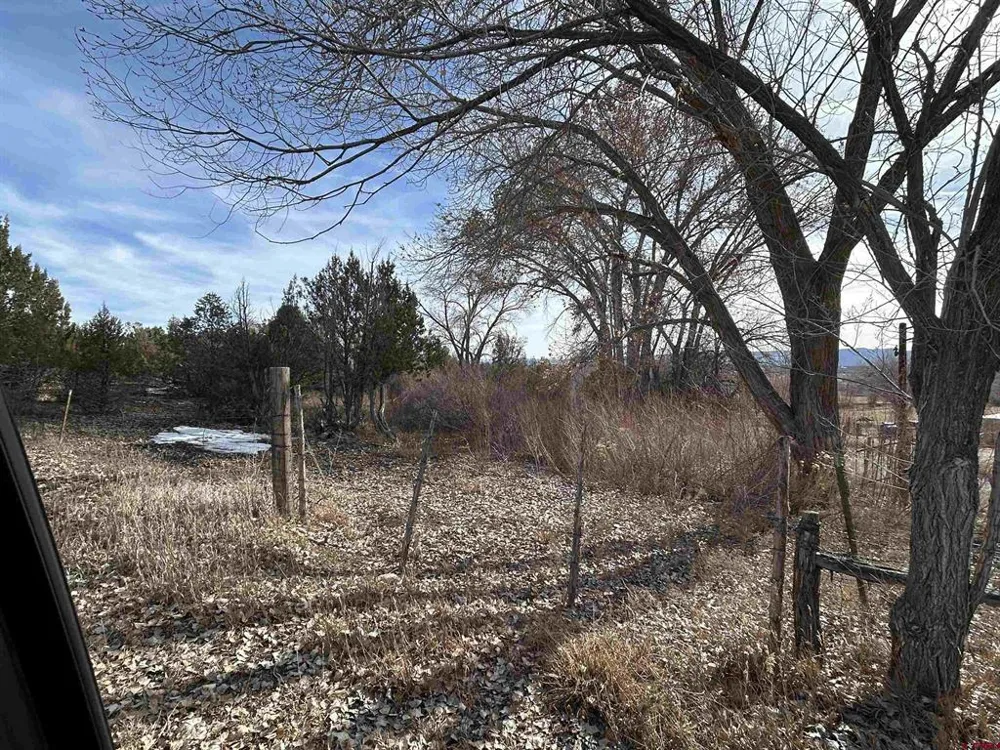 27701 BB ROAD Nucla, CO 81424