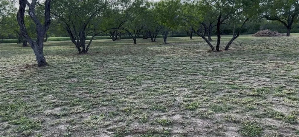 53 Sunny Vale Mathis, TX 78368