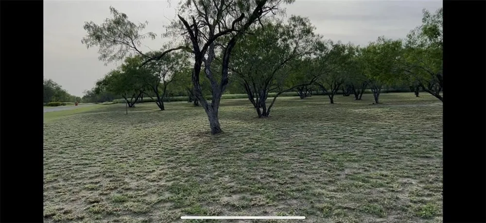 53 Sunny Vale Mathis, TX 78368