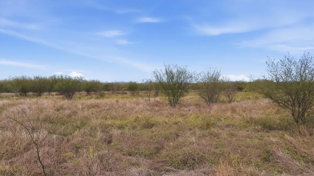 County Road 211 Alice, TX 78332