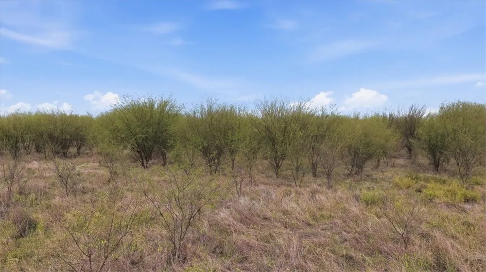 County Road 211 Alice, TX 78332