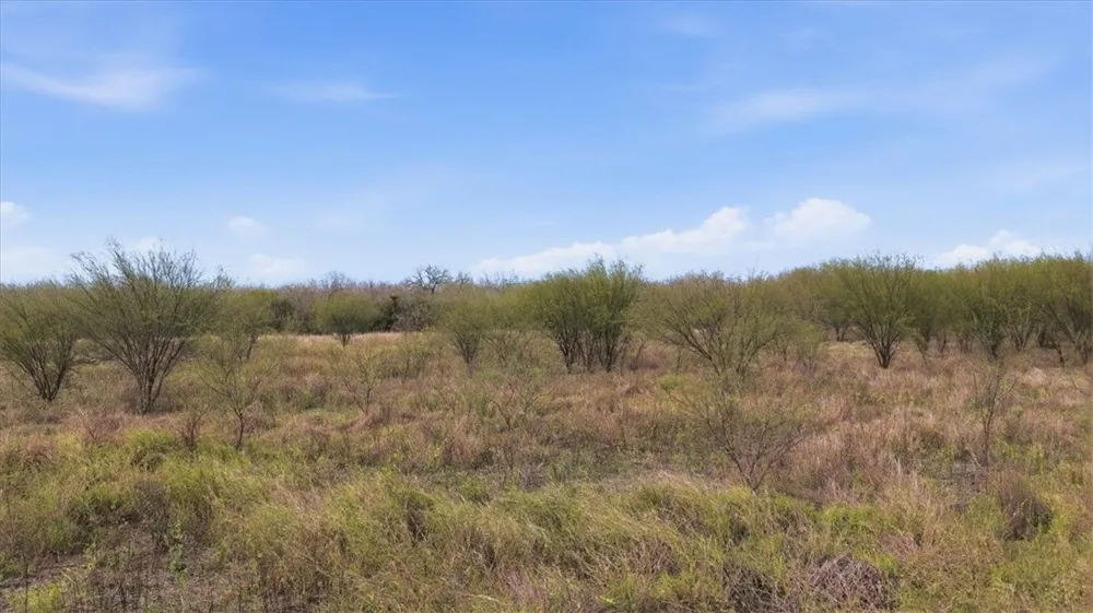 County Road 211 Alice, TX 78332