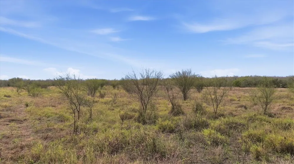 County Road 211 Alice, TX 78332