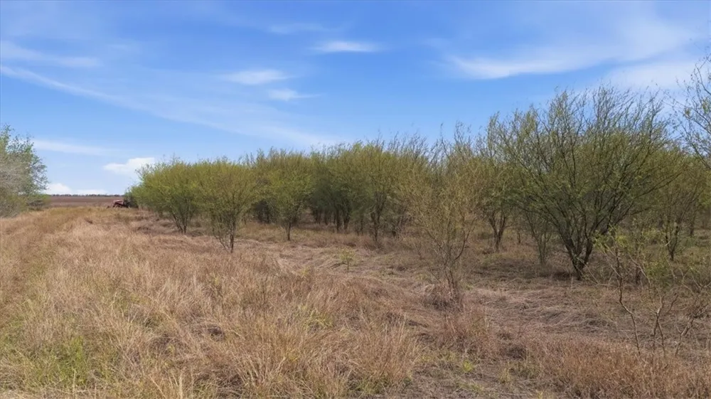 County Road 211 Alice, TX 78332