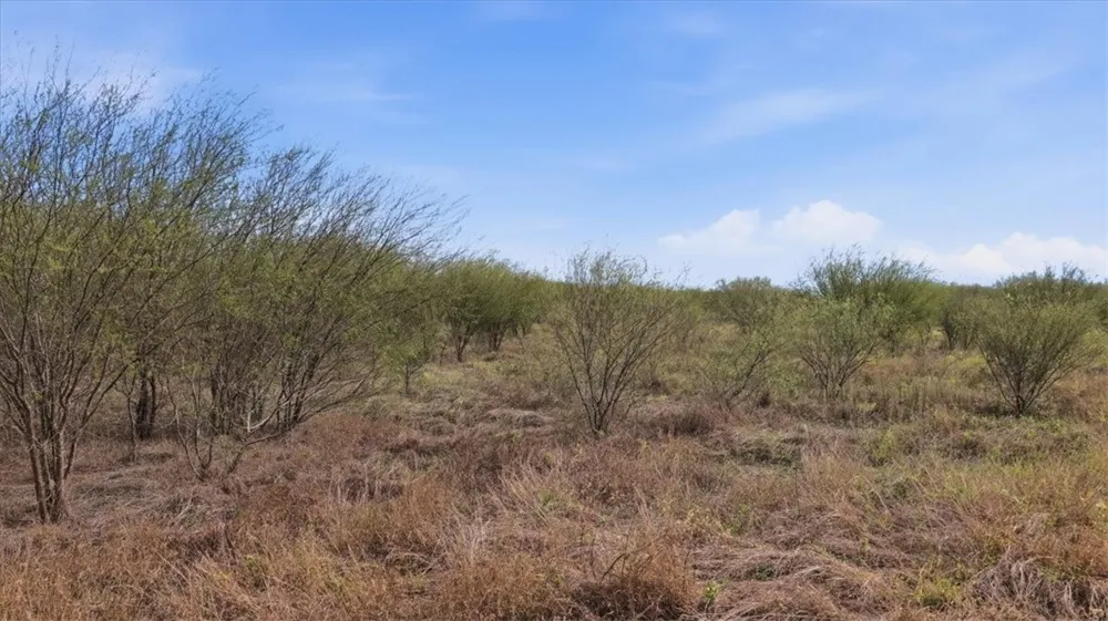 County Road 211 Alice, TX 78332