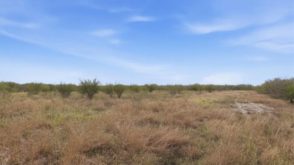 County Road 211 Alice, TX 78332