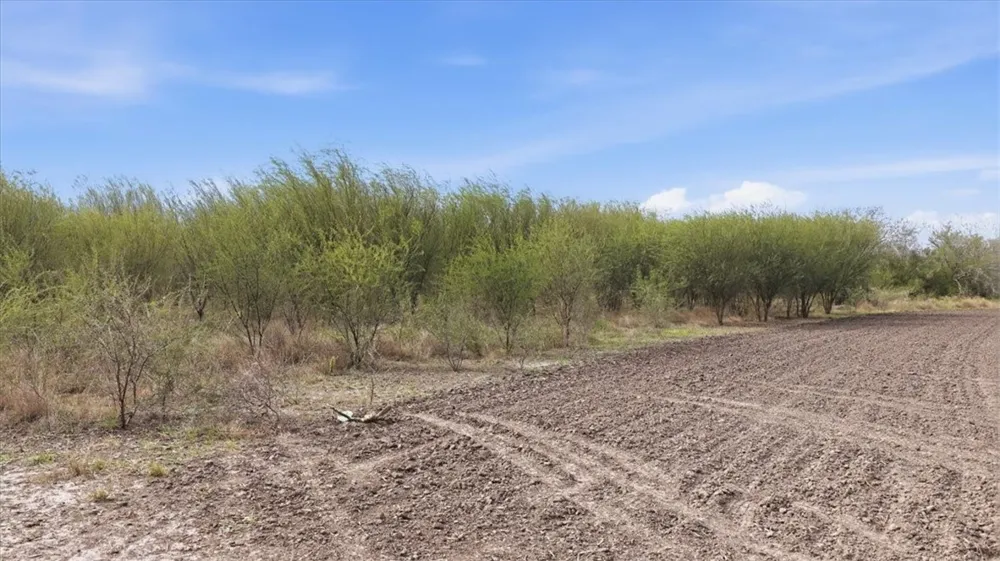County Road 211 Alice, TX 78332