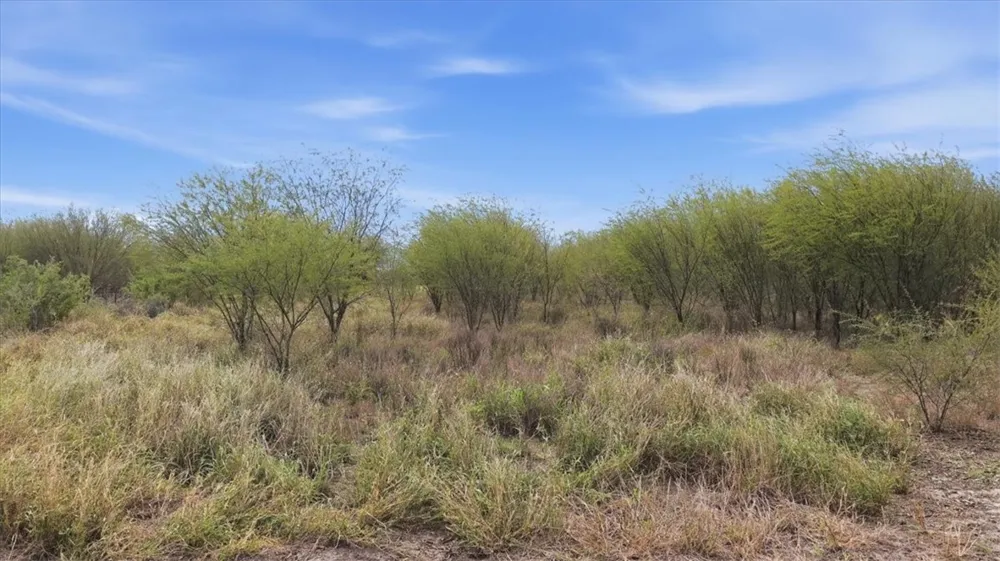 County Road 211 Alice, TX 78332