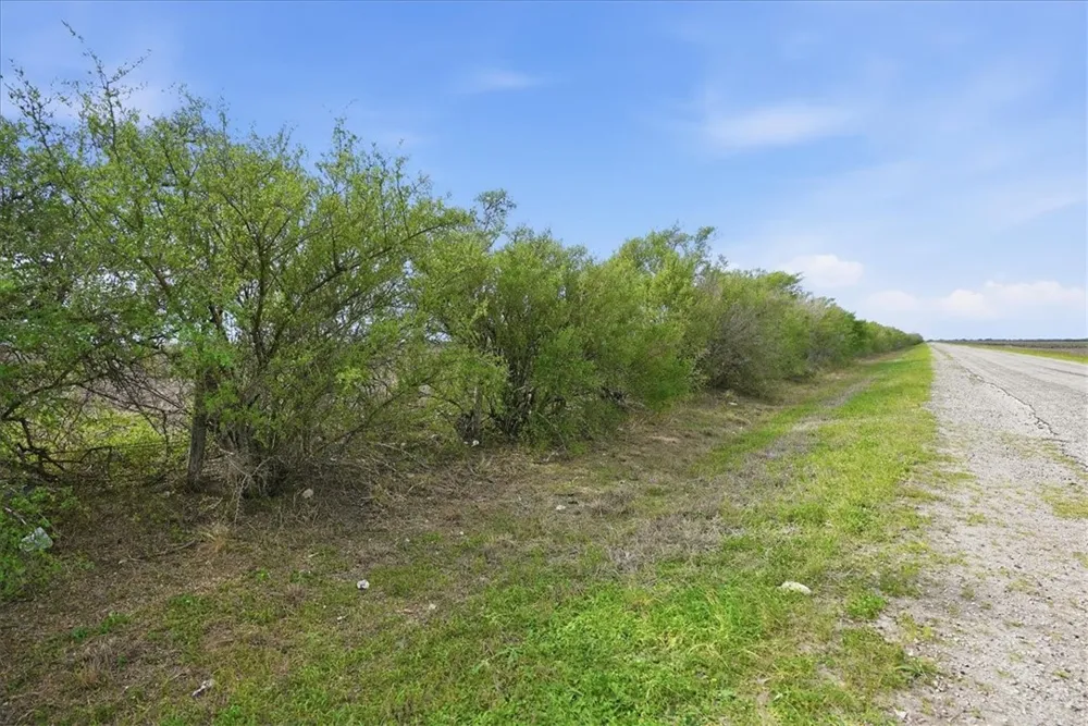 County Road 211 Alice, TX 78332