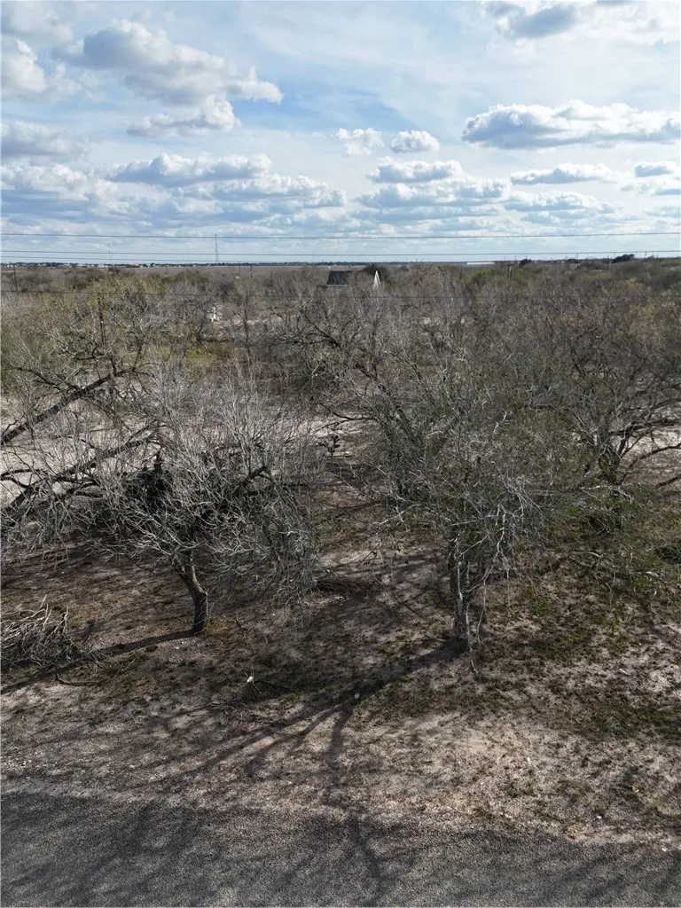 CR 3053 Orange Grove, TX 78372