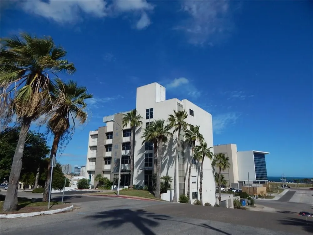 520 S Chaparral Street #204 Corpus Christi, TX 78401