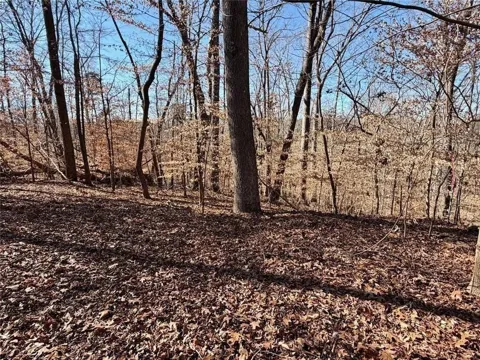 0 Arrowhead Court