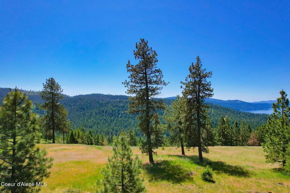 Lot 1 S Skyview Road Harrison, ID 83833