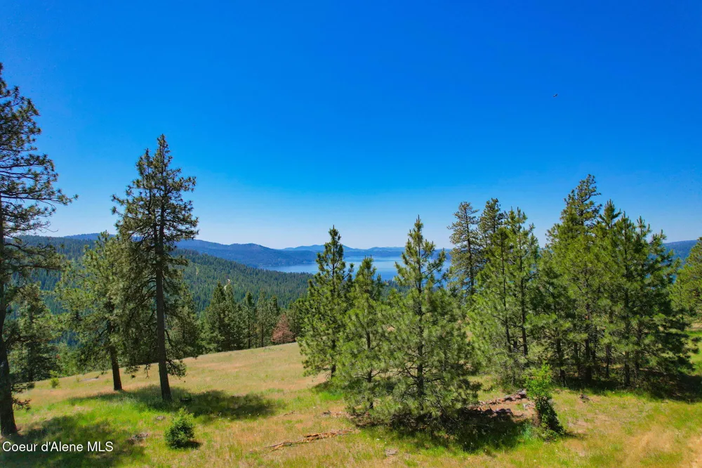 Lot 1 S Skyview Road Harrison, ID 83833