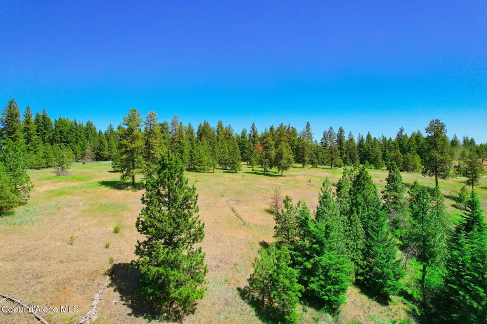 Lot 1 S Skyview Road Harrison, ID 83833