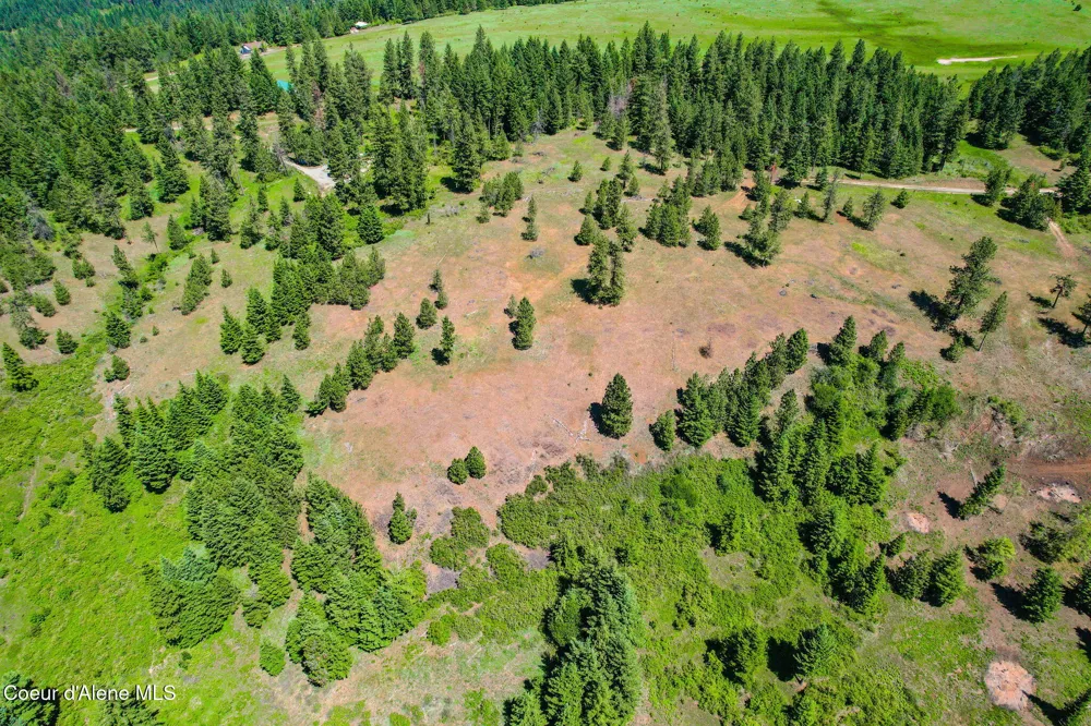 Lot 1 S Skyview Road Harrison, ID 83833