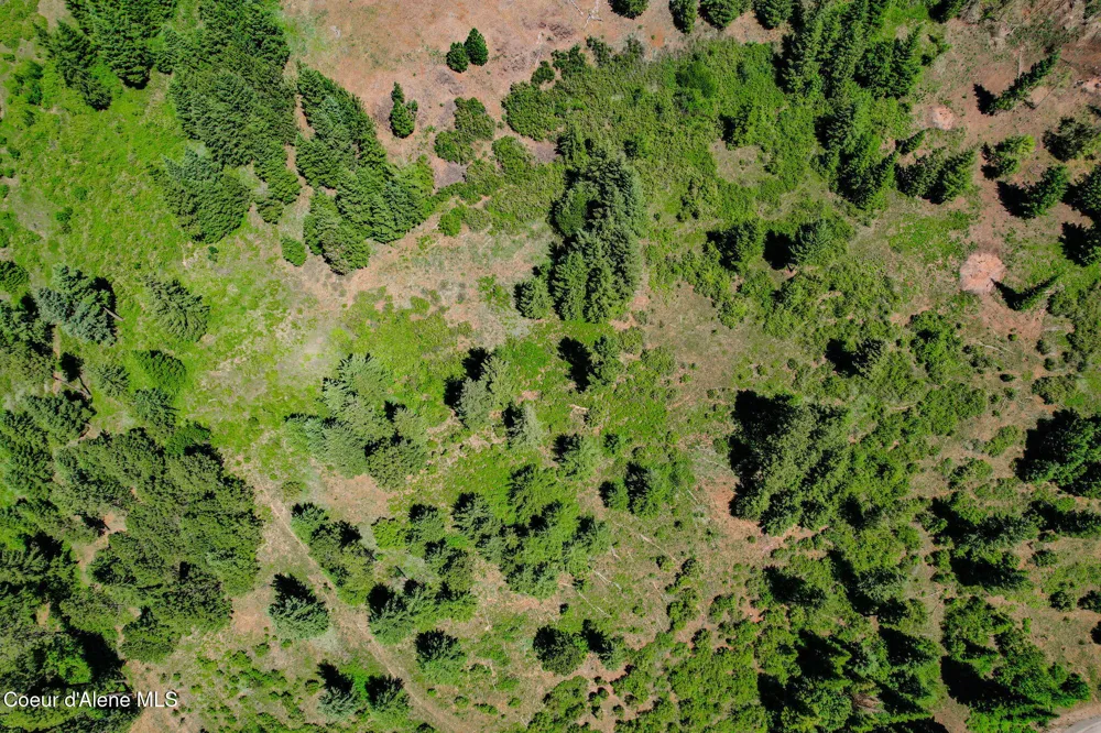 Lot 1 S Skyview Road Harrison, ID 83833