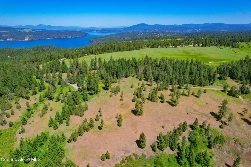 Lot 1 S Skyview Road Harrison, ID 83833