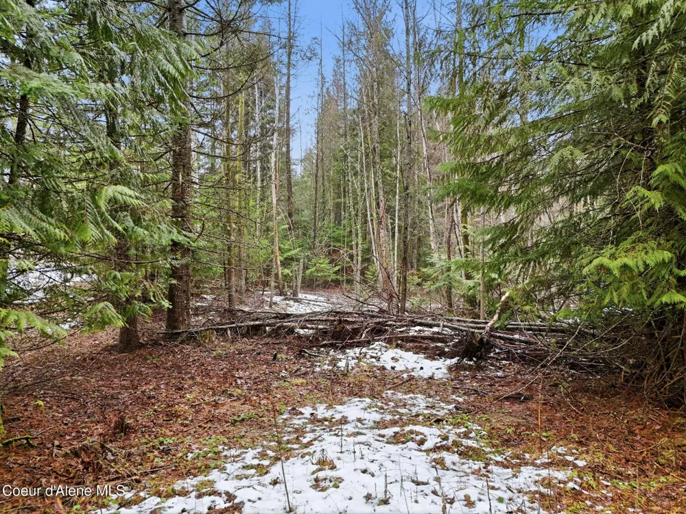 12053 Dufort Road Priest River, ID 83856