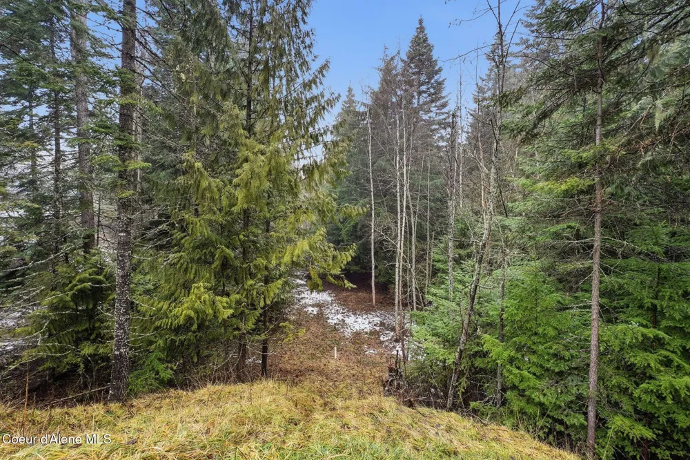12053 Dufort Road Priest River, ID 83856