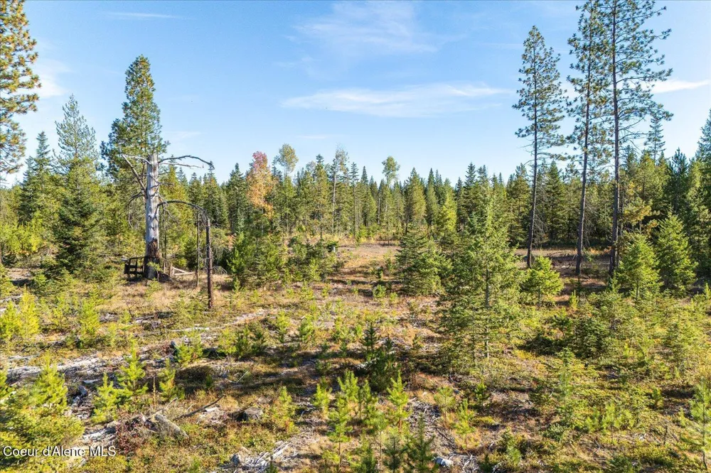 NKA Coyote Trail Newport, WA 99156