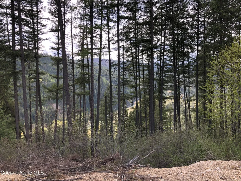 NNA CDA River Rd/McPhee Gulch Kingston, ID 83839