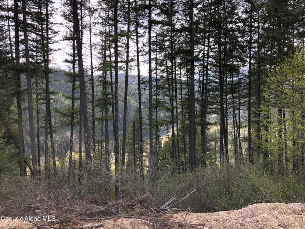NNA CDA River Rd/McPhee Gulch Kingston, ID 83839