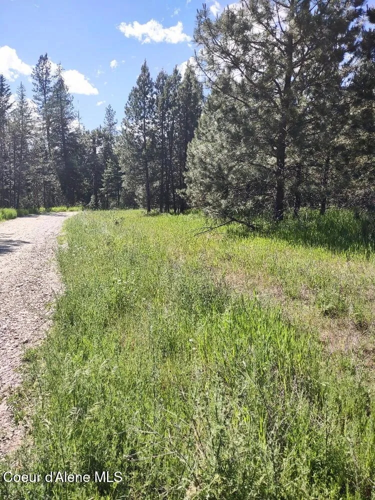 Lot 1 Champs Road Bonners Ferry, ID 83805