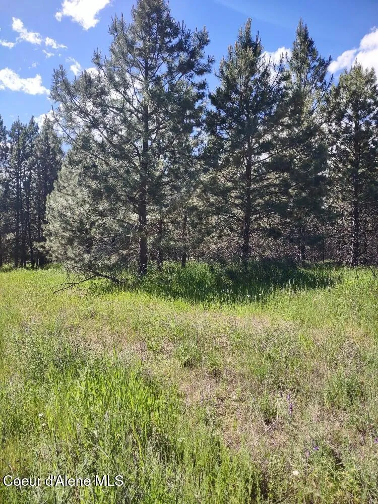 Lot 1 Champs Road Bonners Ferry, ID 83805