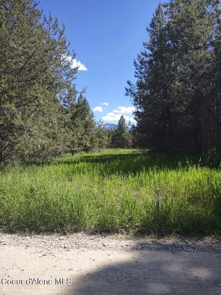 Lot 1 Champs Road Bonners Ferry, ID 83805