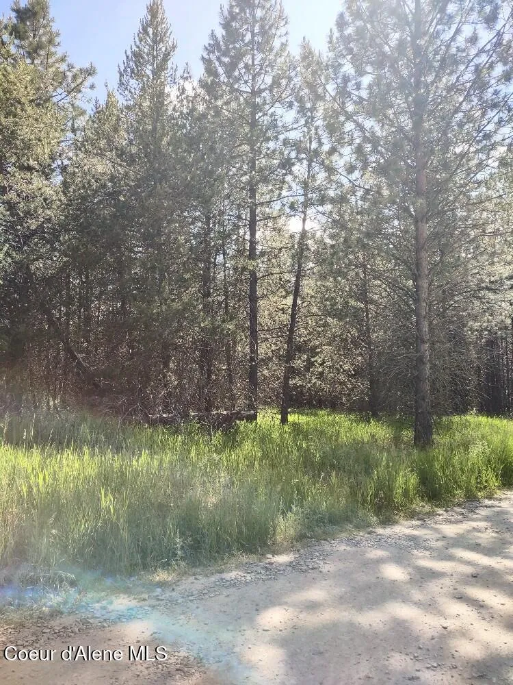 Lot 1 Champs Road Bonners Ferry, ID 83805