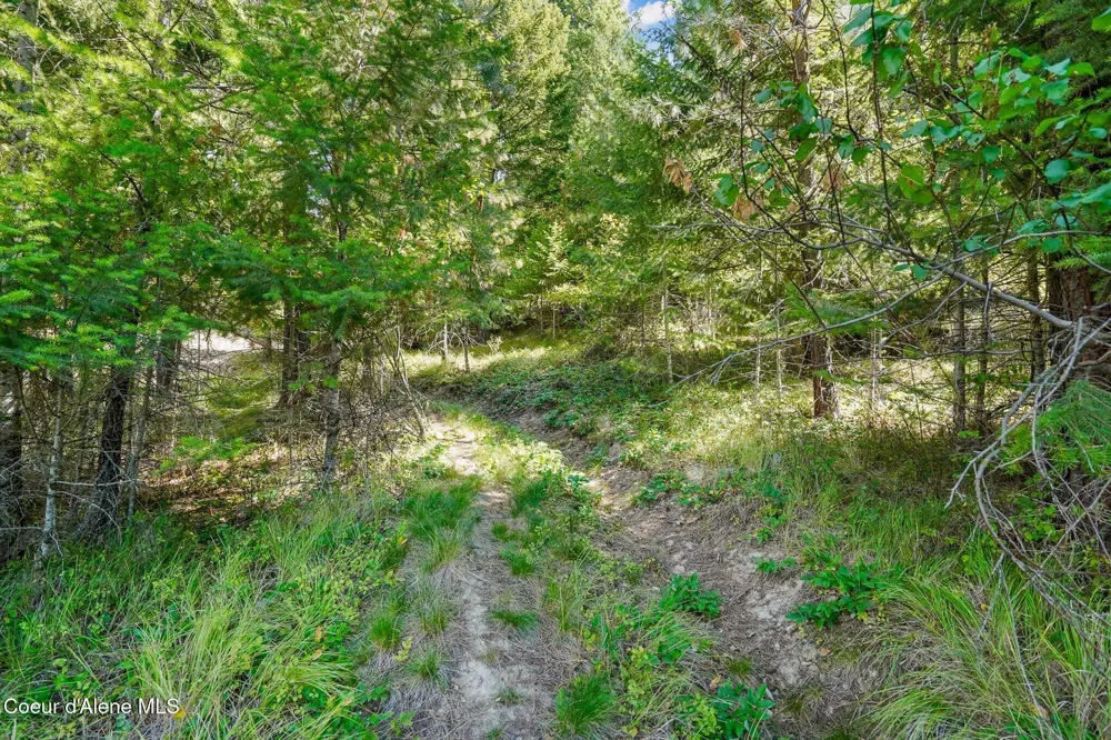 273 Paradise Valley Road Bonners Ferry, ID 83805
