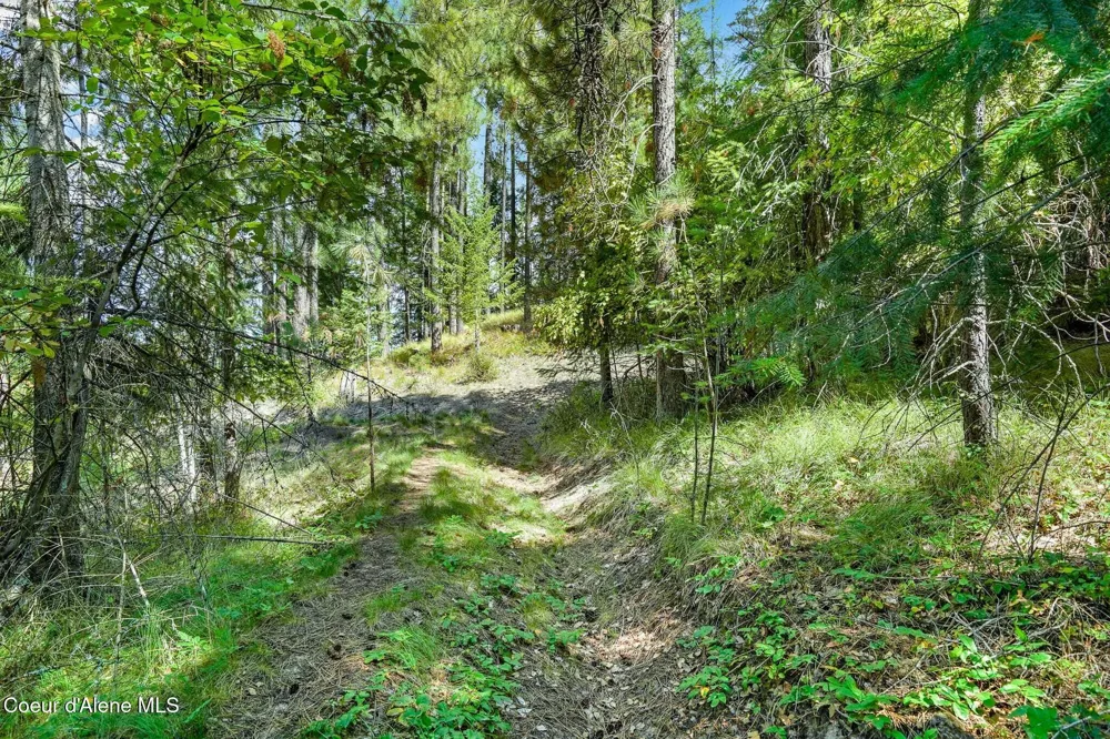 273 Paradise Valley Road Bonners Ferry, ID 83805