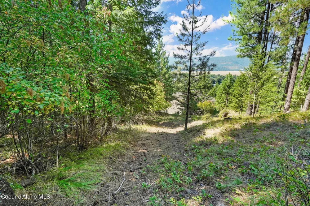 273 Paradise Valley Road Bonners Ferry, ID 83805