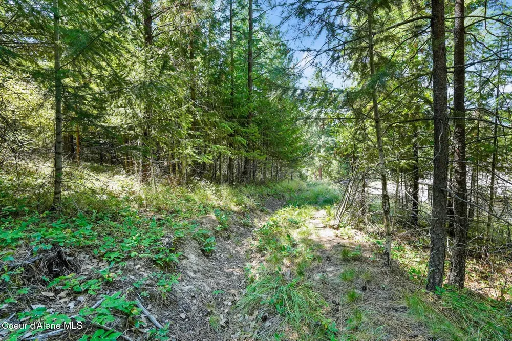 273 Paradise Valley Road Bonners Ferry, ID 83805