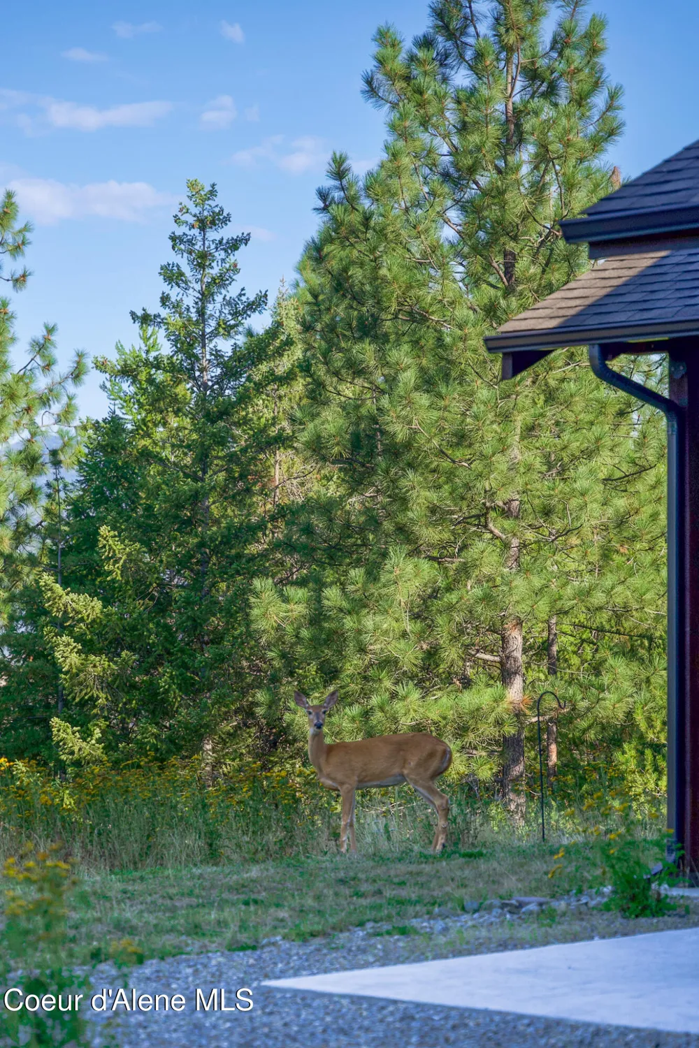 273 Paradise Valley Road Bonners Ferry, ID 83805