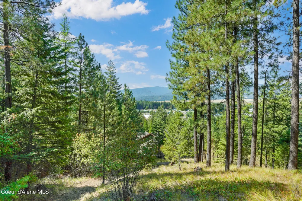 273 Paradise Valley Road Bonners Ferry, ID 83805