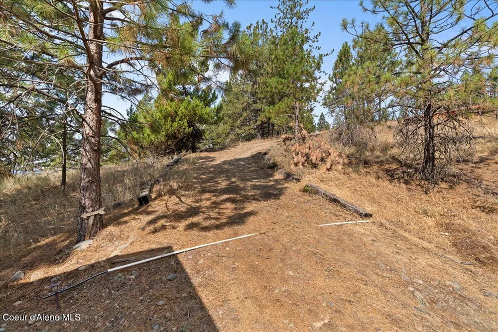 5674 E Holiday Road Harrison, ID 83833