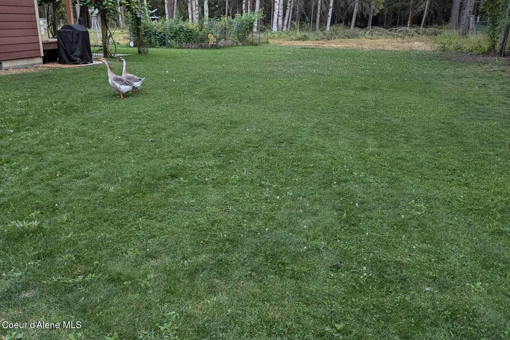 870 Samuels Road Sandpoint, ID 83864