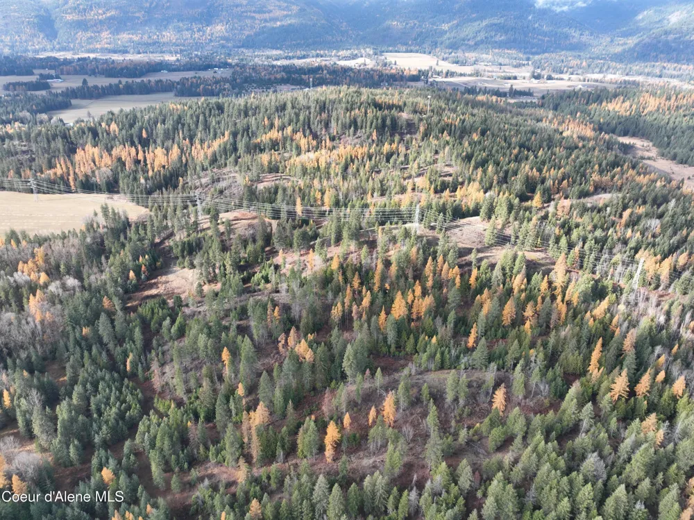 NKA Snowberry Lane Sandpoint, ID 83864