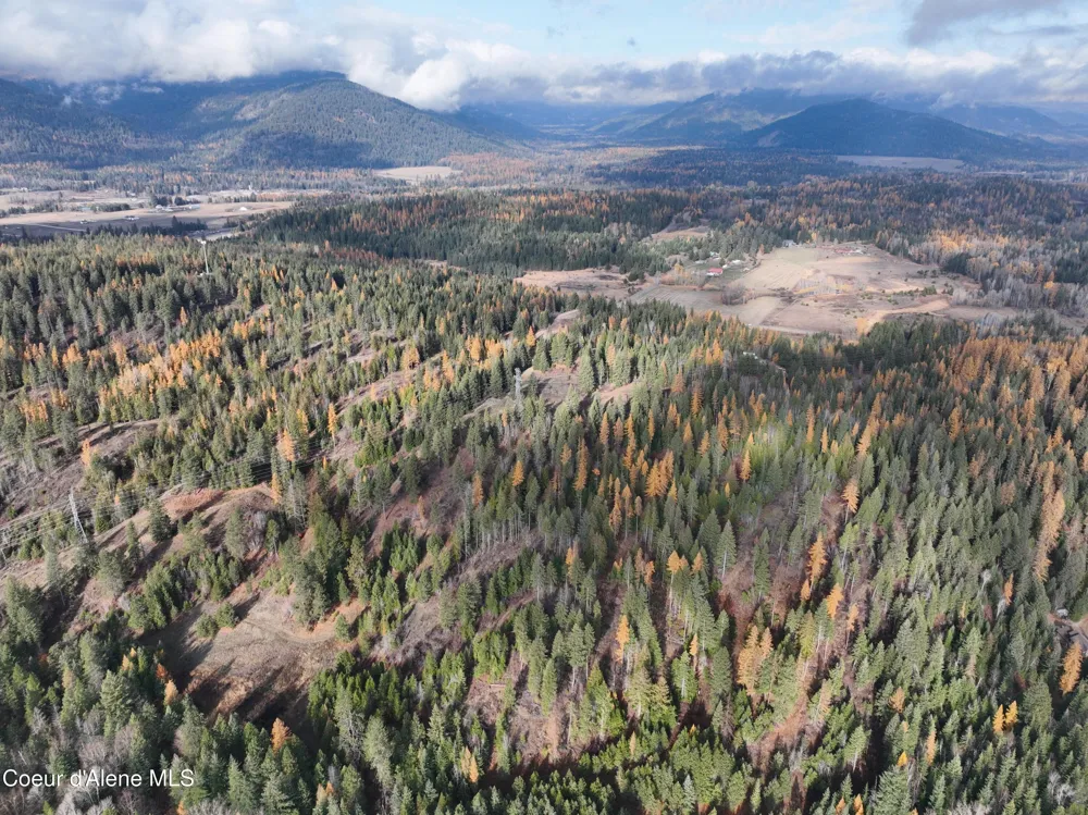 NKA Snowberry Lane Sandpoint, ID 83864
