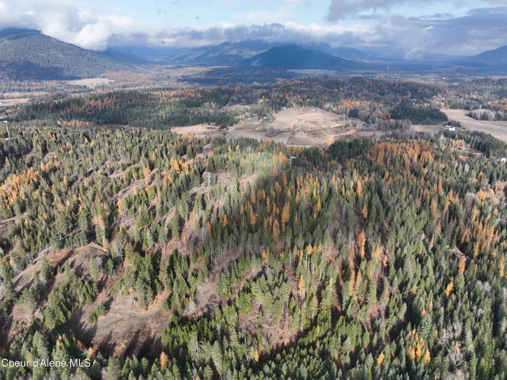 NKA Snowberry Lane Sandpoint, ID 83864