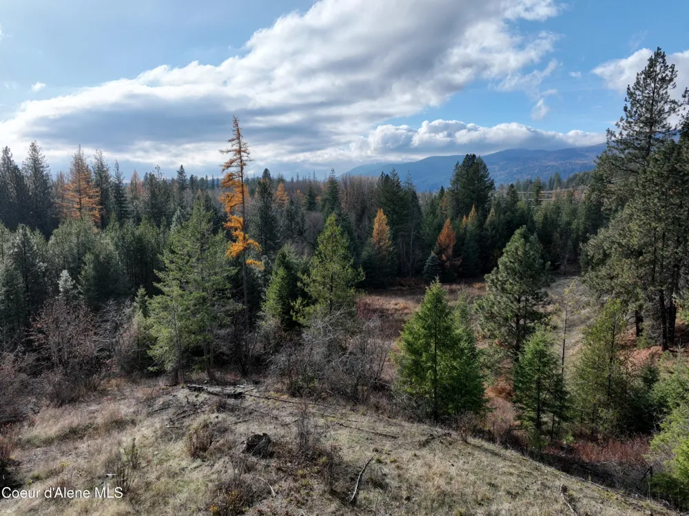 NKA Snowberry Lane Sandpoint, ID 83864