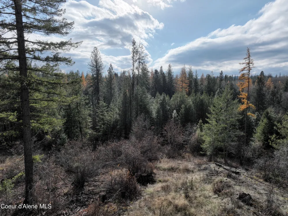 NKA Snowberry Lane Sandpoint, ID 83864