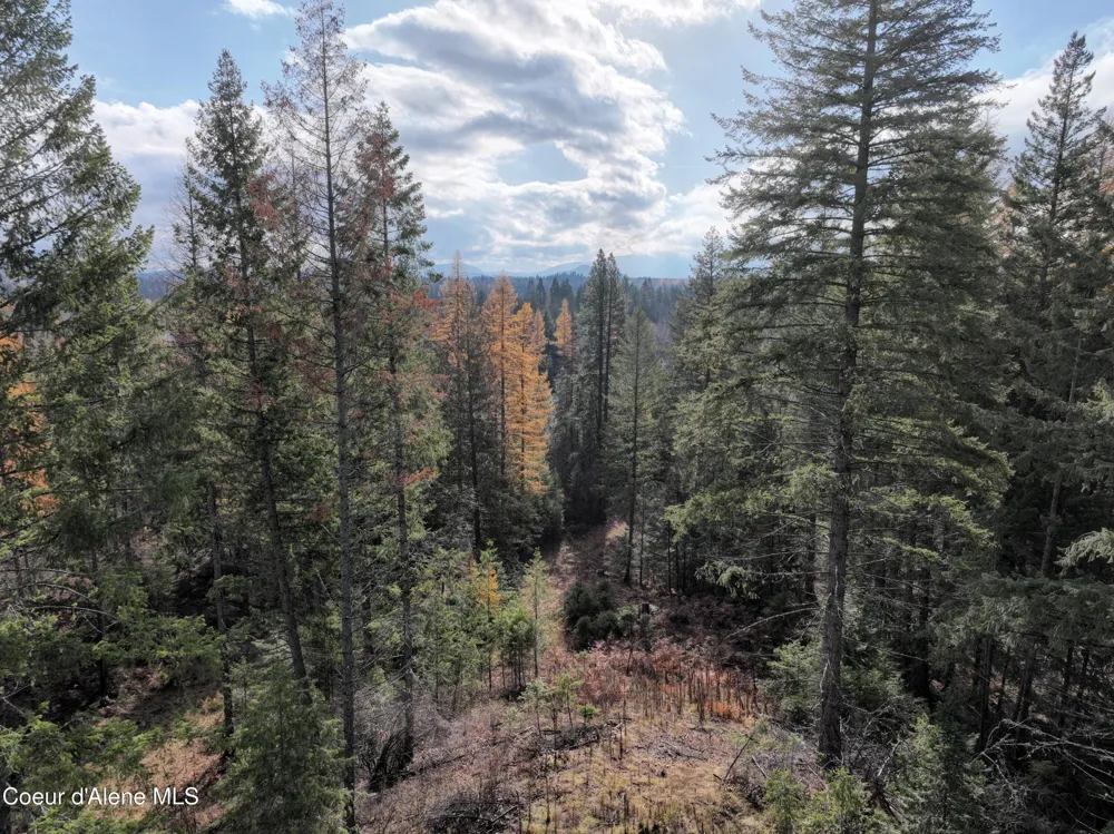 NKA Snowberry Lane Sandpoint, ID 83864