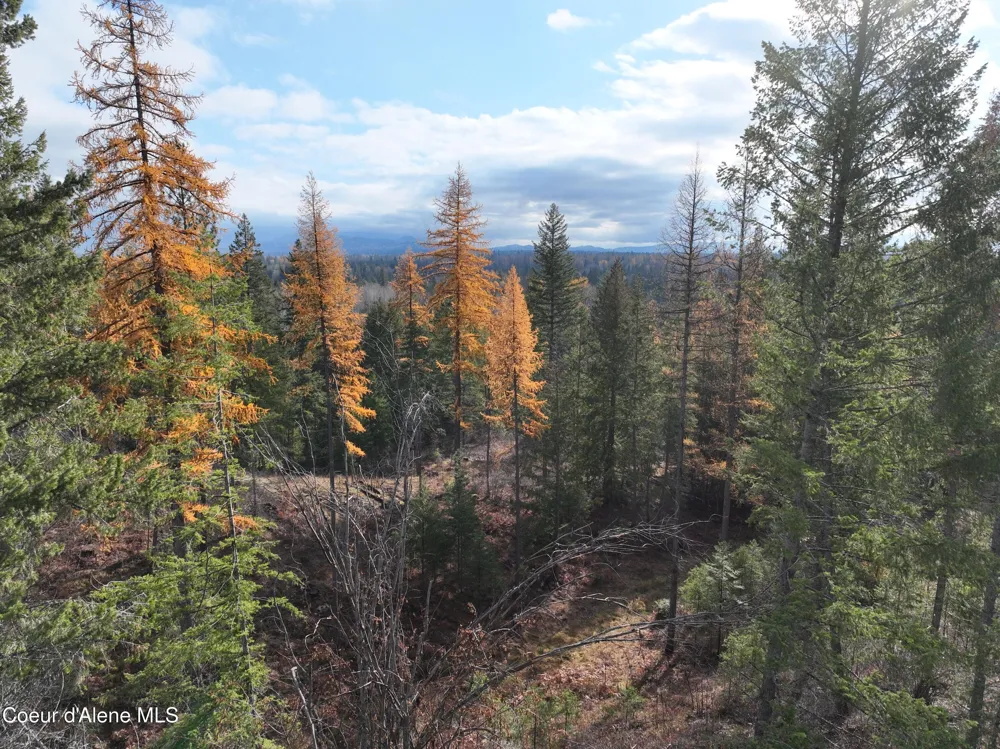 NKA Snowberry Lane Sandpoint, ID 83864