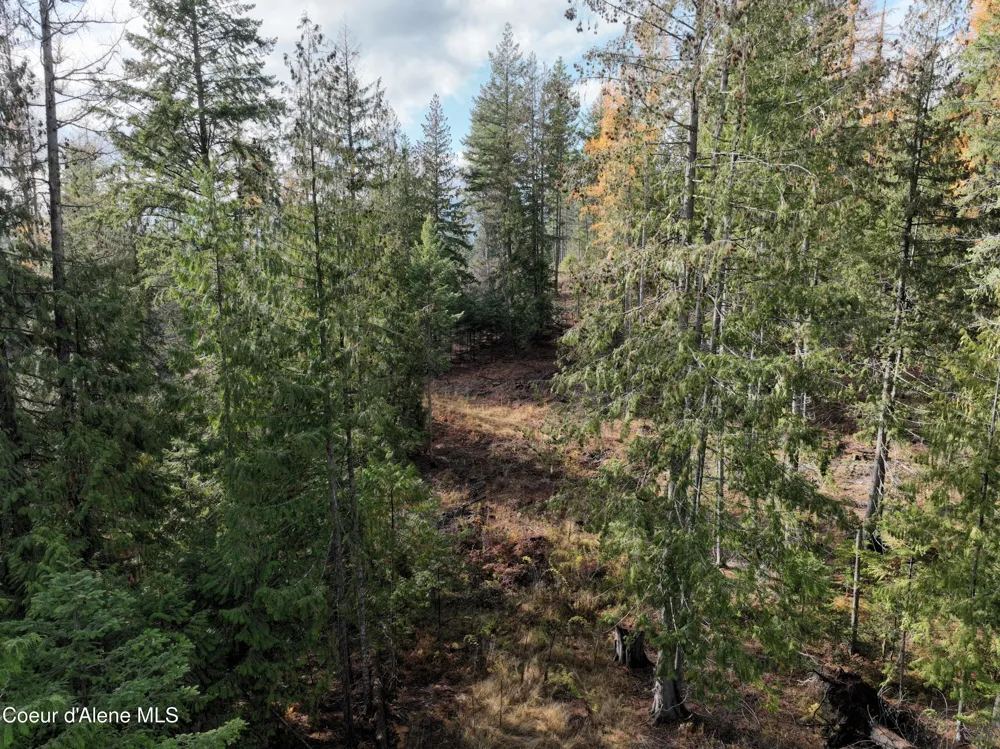 NKA Snowberry Lane Sandpoint, ID 83864