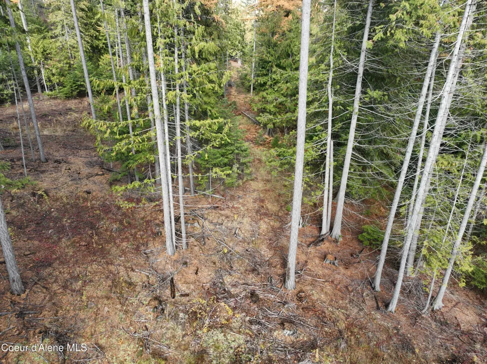 NKA Snowberry Lane Sandpoint, ID 83864