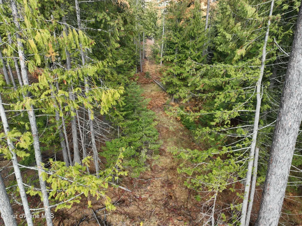 NKA Snowberry Lane Sandpoint, ID 83864